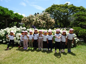 保和苑 (5)