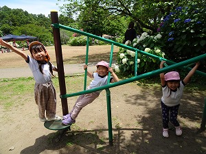 保和苑 (15) 保和苑 (15)