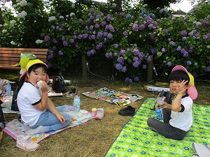 保和苑 (31)