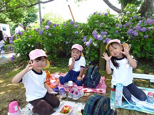 保和苑 (11) 保和苑 (11)