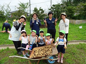 ジャガイモ (10) ジャガイモ (10)