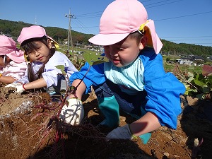 秋の遠足 (4) 秋の遠足 (4)