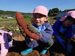 秋の遠足 (7) 秋の遠足 (7)