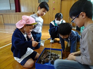 あきまつり (10) あきまつり (10)