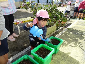 中学生 (6)