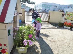 中学生 (25)