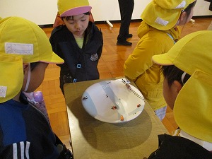 中学生 (8) 中学生 (8)