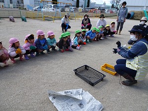 ジャガイモ植え (1) ジャガイモ植え (1)