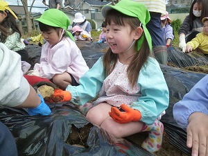 ジャガイモ植え (15) ジャガイモ植え (15)