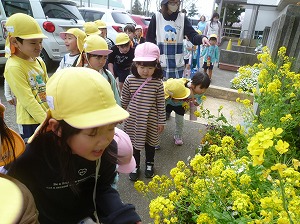 P1140803 P1140803