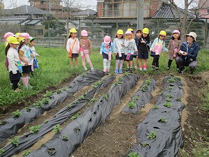 IMG_6317 IMG_6317