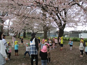 IMG_6329 IMG_6329