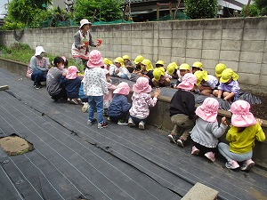 IMG_6946 IMG_6946