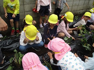 IMG_6956 IMG_6956