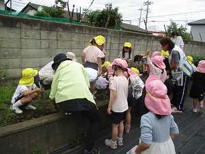 IMG_6920 IMG_6920
