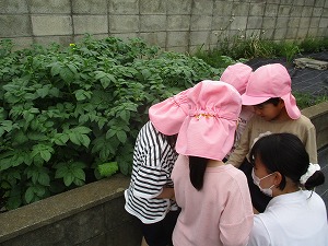 IMG_6924 IMG_6924