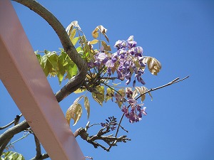 IMG_7014 IMG_7014