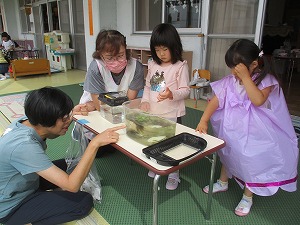 メダカ観察3 メダカ観察3