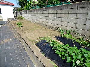奉仕作業 (2) 奉仕作業 (2)