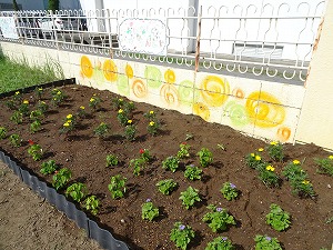 奉仕作業 (3)