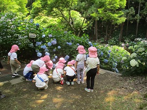 生き物観察 生き物観察