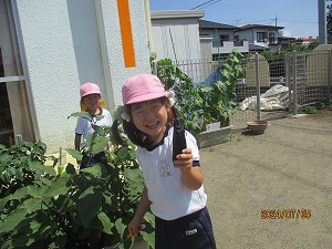 野菜 (7) 野菜 (7)