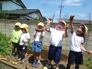 野菜 (12) 野菜 (12)