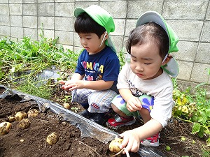 野菜 (1) 野菜 (1)