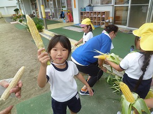 野菜 (17) 野菜 (17)