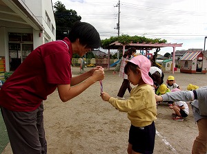 スポーツ (5) スポーツ (5)
