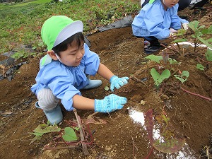 遠足 (7) 遠足 (7)