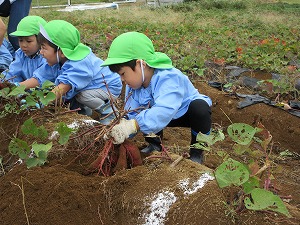 遠足 (9) 遠足 (9)