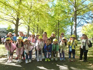 イチョウ並木で・ほし イチョウ並木で・ほし