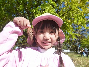まつぼっくり まつぼっくり