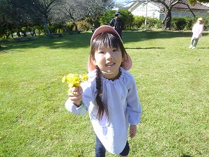黄色い花 黄色い花