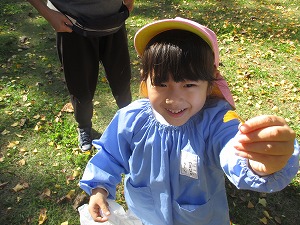 小さい葉 小さい葉