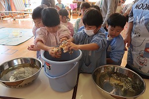 染物体験 (6)