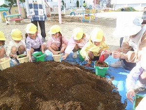 球根植え (10)