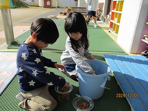 球根植え (9)