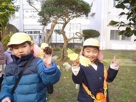 まつぼっくり まつぼっくり