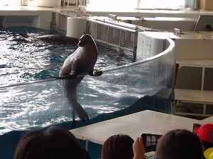 親子遠足 (6)