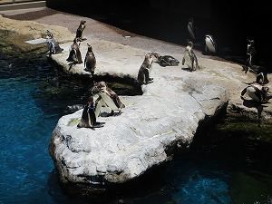 遠足 (2) 遠足 (2)