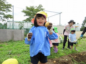 ジャガイモ (4) ジャガイモ (4)