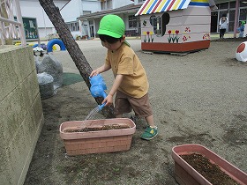 水やり2 水やり2