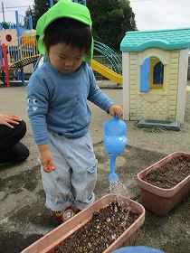 水やり4 水やり4