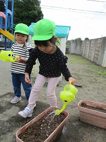 水やり5 水やり5