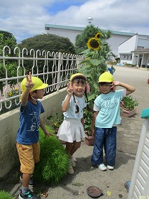 IMG_3071 IMG_3071