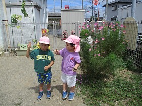 IMG_3075 IMG_3075