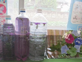 色水 色水
