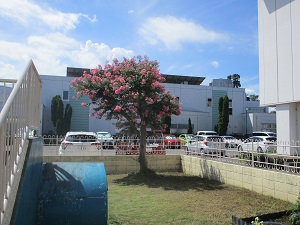IMG_3086(1) IMG_3086(1)